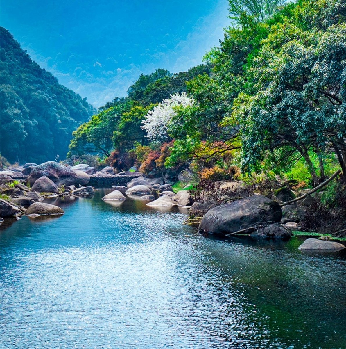 shqhn4's tweet photo. 九龙谷国家森林公园
位于莆田市常太镇溪南村
国家4A级旅游景区
总面积约1091.5公顷
谷内绿林包裹，清水环抱
总森林覆盖率达95%以上
被誉为天然“森林氧吧”
有“莆田后花园”美称
春游九龙谷
走古道，赏春花，听鸟鸣
划竹舟，访飞瀑，游山涧
湖光山色，美不胜收 https://t.co/Wr2XsaHWcS