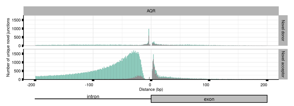 sonigruiz's tweet photo. Using #shRNA data on the #knockdown of >100 core components of the spliceosome assembly and its regulators from #ENCODE, we found that #missplicing is primarily affected by the abundance of these #RNABindingProtein molecules 😯🌈#AQRgene⬇️ https://t.co/2JsqCNFrlL