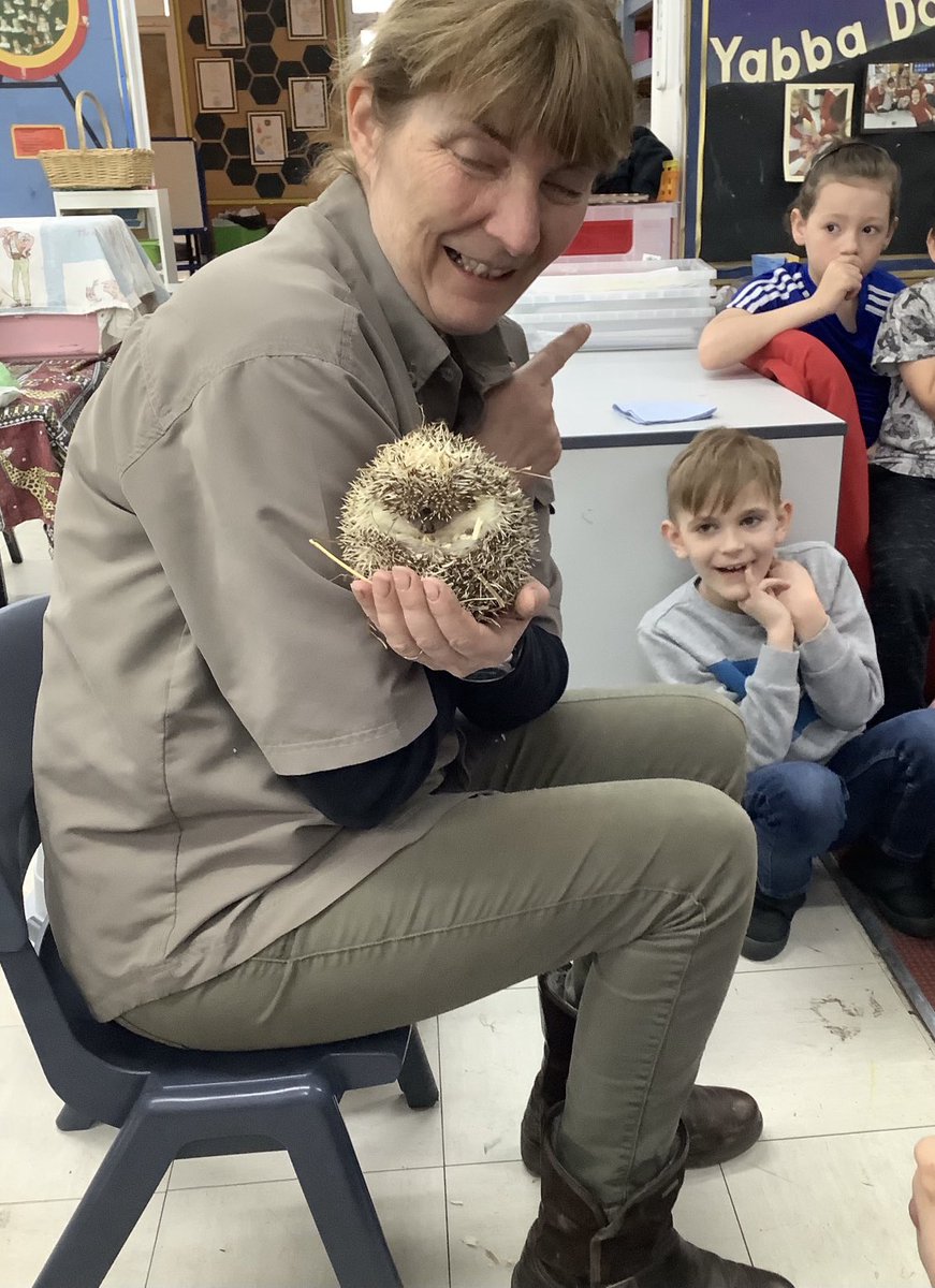 Hook CE Primary tweet media