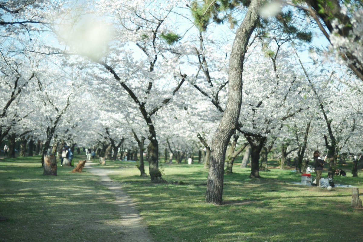 ハードカバー 濱田英明 TOTTORI TOTTORU -濱田英明写真展-」写真家の濱田英明さんが鳥取