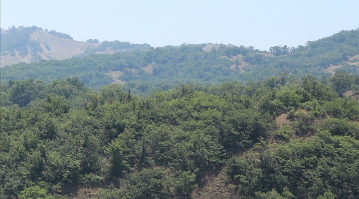 SaldaDernek's tweet photo. TOKİ ormanları betona boğacak

TOKİ Muğla, Aydın ve Manisa illerinde ormanlık alanlarda konut yapmak için harekete geçti. Çevre, Şehircilik ve İklim Değişikliği Bakanlığı ise projelere “ÇED gerekli değildir” kararı verdi. https://t.co/MpLMGcP2AU https://t.co/0NI1eeTWA1