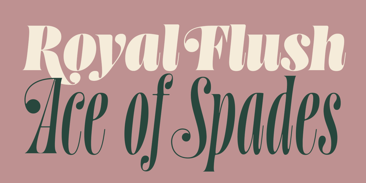 &Discover tweet media