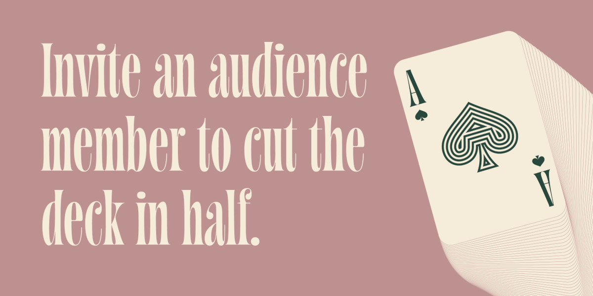 &Discover tweet media