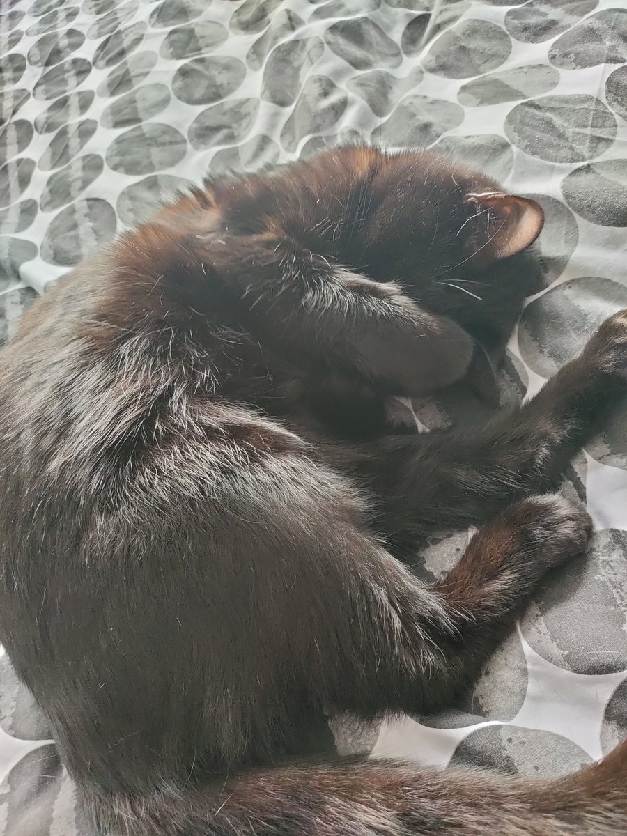 Jonathan Godsall tweet media