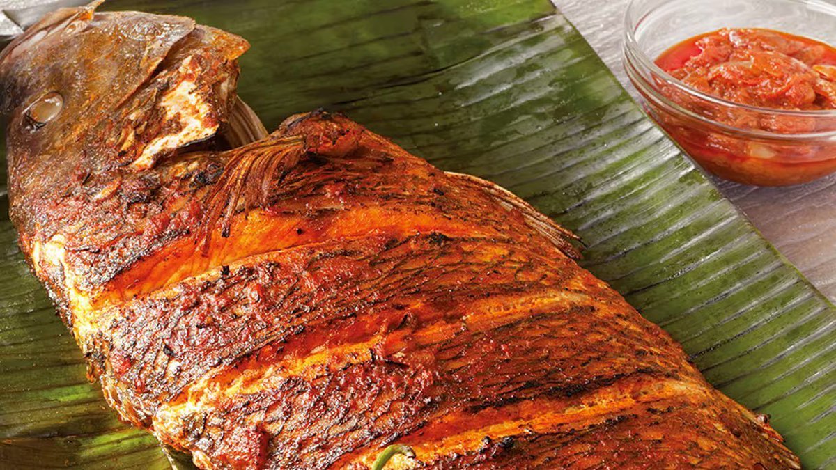 AzharAndiTahir's tweet photo. IKAN BAKAR REMPAH PADU BEB ALA KEDAI IKAN BAKAR PASTI MENJADI

Sape kat sini nak sangat makan ikan bakar berempah tapi taknak keluarkan modal yang besar? Kalau makan kat kedai paling kurang kena belanja Rm300-Rm400 untuk satu family. Sekarang boleh buat sendiri je kat rumah.

Resepi ni untuk sekor ikan merah atau kerapu 1-1.5kg je. 
Kurang atau lebih boleh adjust sendiri lepas ni.

Bahan kisar :
3 inci halia
3 inci lengkuas
12 biji bawang merah
1 setengah bawang holland
4 batang serai besar
2 sudu kecil udang kering
3 biji cili merah besar
4 helai daun limau purut
6-10 cili kering

Kisar semua bahan kat atas. Pastikan lumat sepenuhnya. Kalau tak rasa dia kurang 'MELETOP'

Bahan tambahan
5 sudu cili kisar
2 keping asam keping
1 sudu kecil gula melaka
Gula putih
Garam
Penambah perisa
Sedikit minyak

Cara penyediaan pes

1. Panaskan minyak, tumis semua bahan kisar tadi sampai naik aroma yang wangi. Pastikan warna tu dah jadi sedikit kekuningan.

2. Then masukkan asam keping dan cili kisar dalam tu. Gunakan api sederhana je untuk beberapa minit, tumis sampai pecah minyak.

3. Kemudian, masukkan gula melaka dan serbuk perasa. Tunggu sehingga pecah minyak sekali lagi, akhirnya pes sudah siap. 🤗

CARA BAKAR GUNA PES 
1. Siang ikan dan basuh bersih bersih. Buang semua darah darah & organ dalaman. Gosok banyak kali dengan air bersih.

2. Sediakan daun pisang besar besar. Takut ada pes yang mengalir keluar lepas bakar. Letak ikan atas daun pisang dan lumurkan pes tadi atas ikan. Kalau boleh lumur dalam perut sekali sampai rata. Bagi rasa pes tu masuk dalam isi ikan sekali.

3. Bakar atas kuali atau pemanggang dalam 30 minit. Sambil2 tu cuba la selak sikit takut terlebih masak. Bila isi ikan dah bertukar warna putih, ikan dah siap dan sedia untuk dihidangkan. 

Alhamdulillah nikmatilah keenakan ikan bakar berempah dengan keluarga tercinta tanpa ragu-ragu ye.

🥰

Kredit: Siti Aisyah Husin(MAHN)