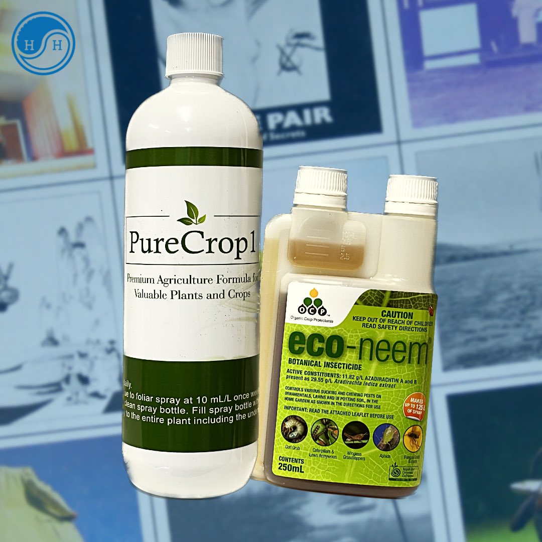 holistic_hydro's tweet photo. PureCrop1 and Eco-neem offer natural pest control for healthy crops! PureCrop1 is plant-based and free of harmful chemicals, while Eco-neem is organic and made from neem tree extracts. Safe and sustainable options! #PureCrop1 #EcoNeem #PestControl #PlantBased #OrganicGardening https://t.co/ZxV9etqI6p