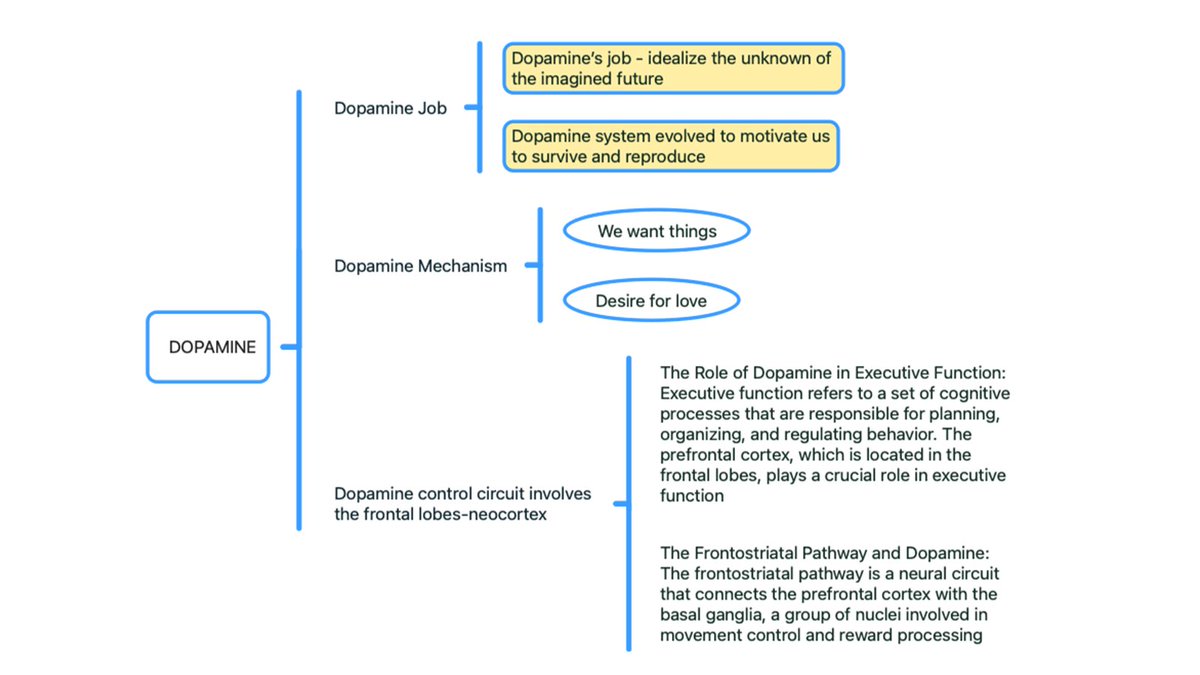 EscapeMindMap's tweet image. We just launched a new version that includes customizable mind map layouts, and a new minimal edge style. 
Download Escape from AppStore and adjust it for reading longer paragraphs of text.