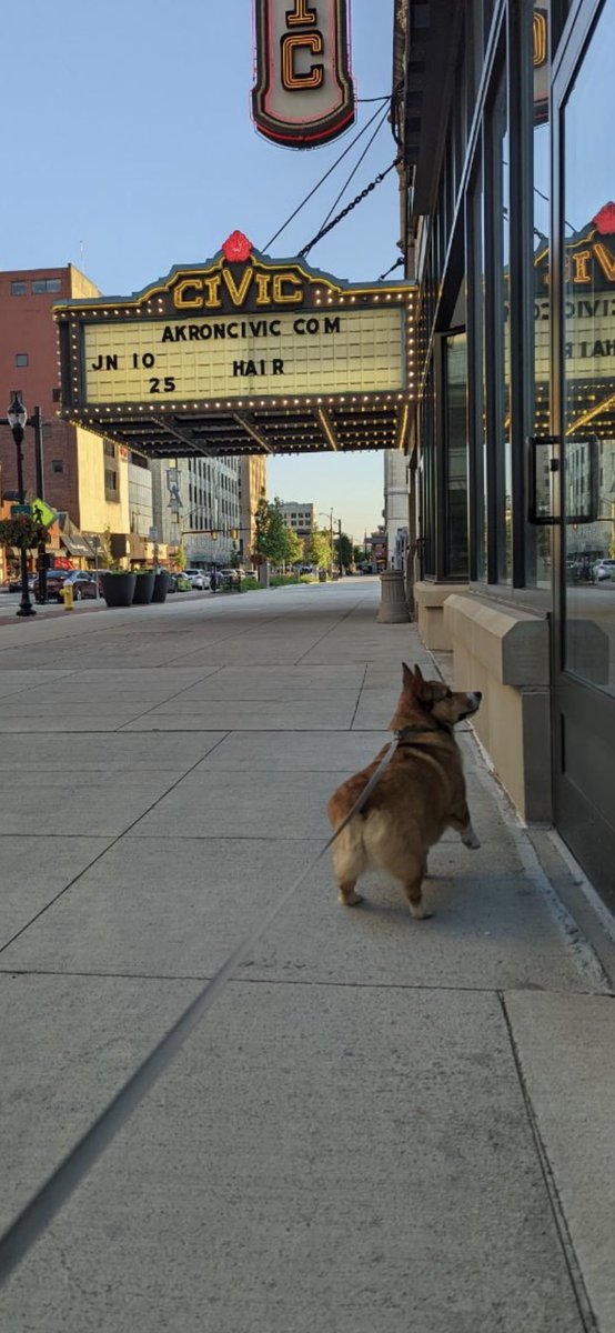 Abbey Marshall tweet media