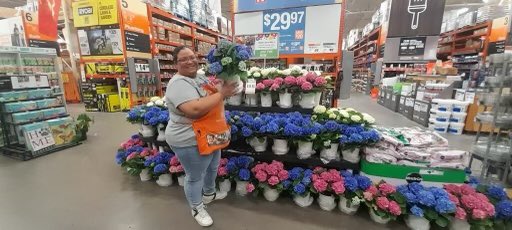 Spring is in the air!!! Check out our beautiful Easter Plants!!! 🌼🌷🌻🌸🐰@PatMorgan1286 <a href="/Nieeeece/">Denise Smith</a> <a href="/THDEmilyB/">Emily</a> <a href="/jarrod_1286/">Jarrod</a>
