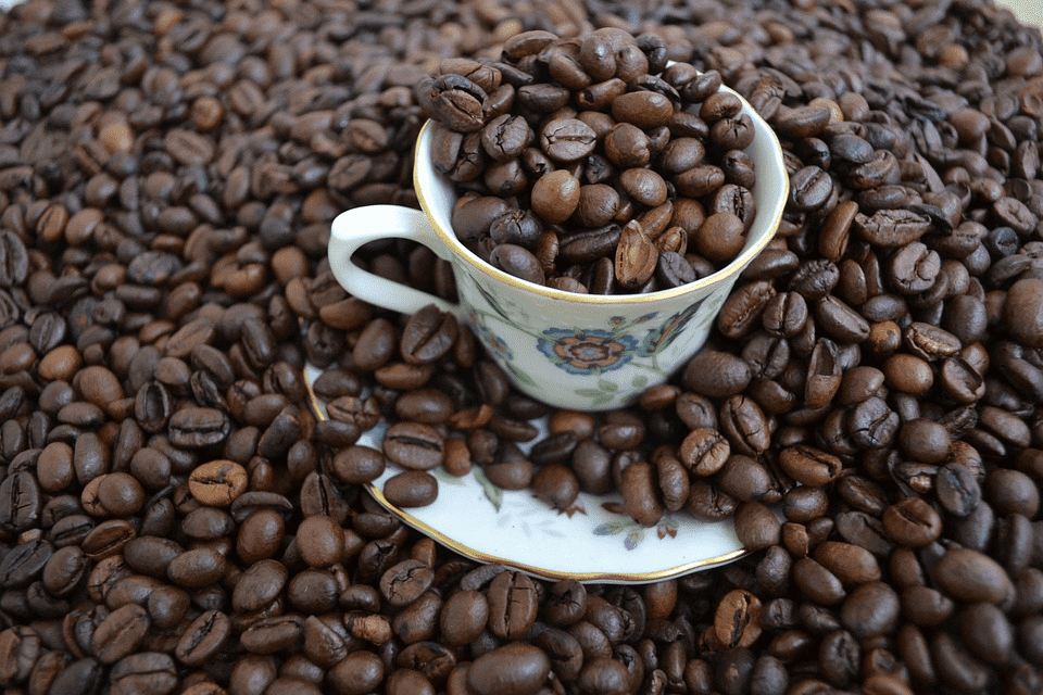 BibiCoffeecom's tweet photo. Best organic coffee beans

  Do you want to try a light roast cup every morning? Do you want to enjoy a wonderful experience with the intoxicating flavor of the best organic coffee beans? That feelingis great; your body will receive safe and powerful

https://t.co/ZLYmX7AYQb https://t.co/kLWtCxQqzE