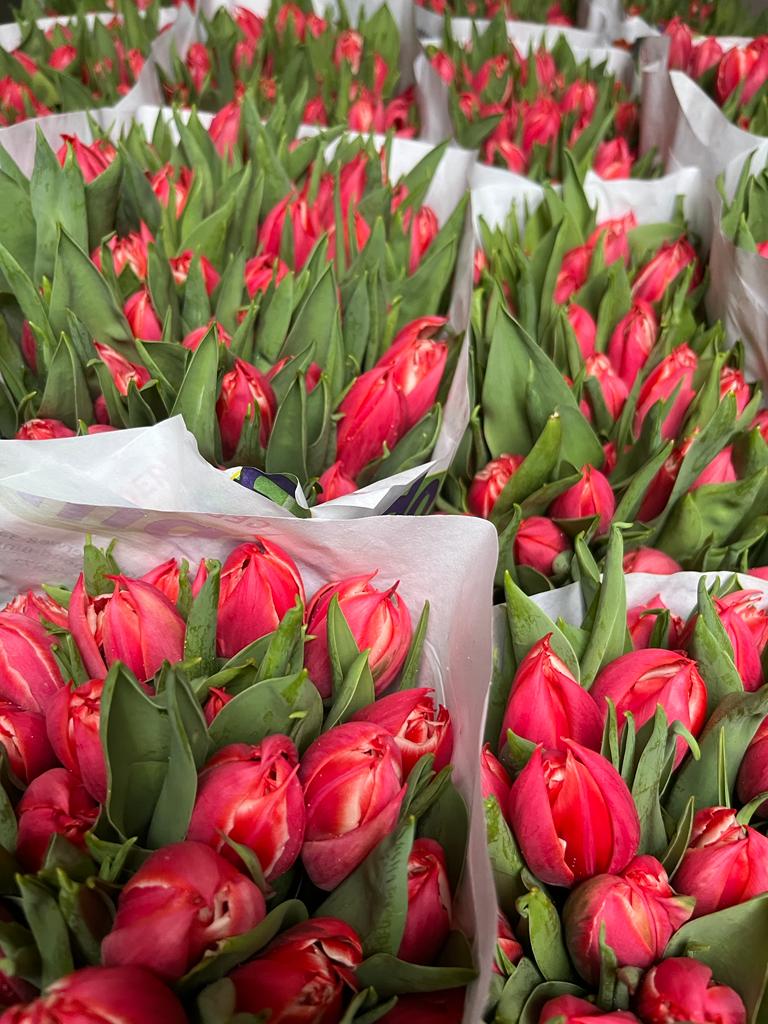 twitt3r0fficial's tweet photo. Er is veel ellende in de wereld en twitter staat altijd op zn kop als je iets zegt over #vitesse , dit weekend geen wedstrijd voor #vvbalk alsof het niet triester kan, maar dan toch deze mooie bloemen die opnieuw in Sneek worden uitgedeelt door een lieftallige man.
Fijn weekend! https://t.co/ekmqBzBBZn