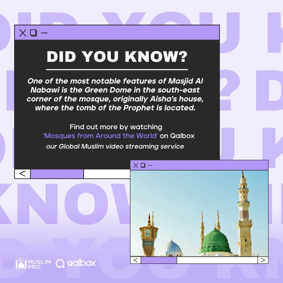 Muslim Pro App tweet media