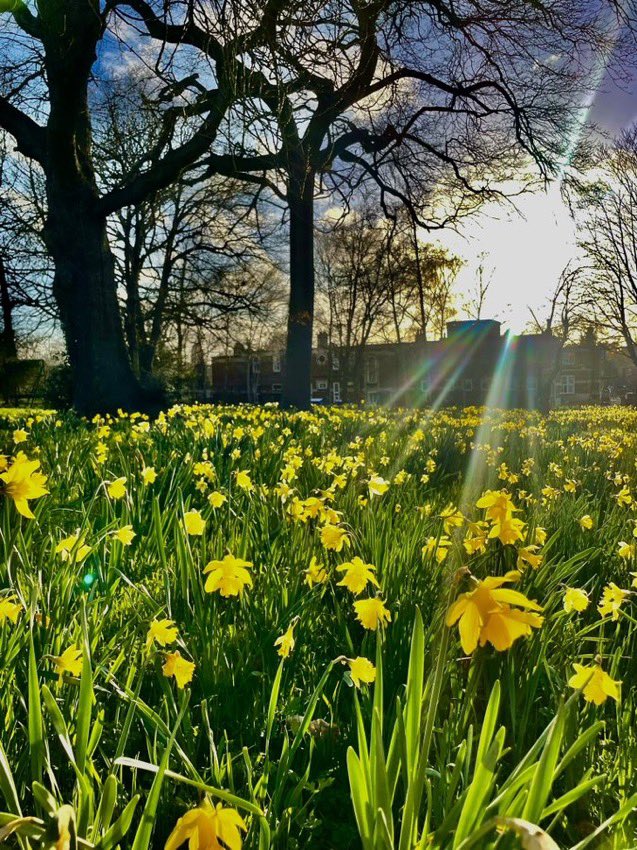 Bryony Robertson tweet media