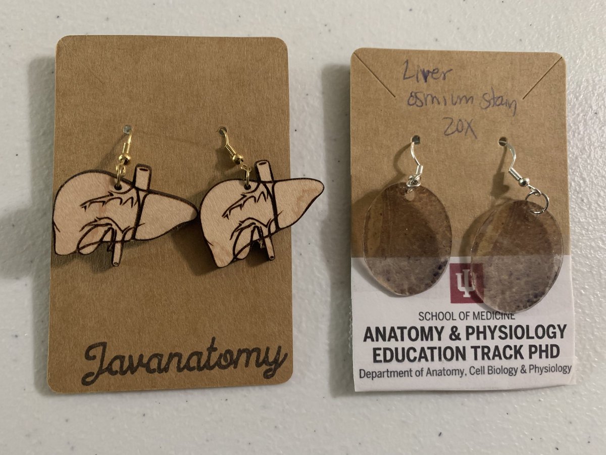 Kate Lesciotto (@katelesciotto) on Twitter photo #AnatomyConnected23 - another amazing conference!
Plus, with the help of <a href="/IUBAnatEdPhD/">IUB Anatomy Education PhD program</a> and javanatomy.com I was able to fill a critical gap in my earring collection! Livers in both gross anatomy and histological views 😍😍 #AnatomyConnected23 - another amazing conference!
Plus, with the help of <a href="/IUBAnatEdPhD/">IUB Anatomy Education PhD program</a> and javanatomy.com I was able to fill a critical gap in my earring collection! Livers in both gross anatomy and histological views 😍😍