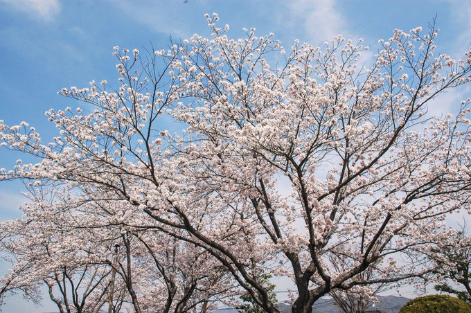 こんばんは～🌔😊🌸✨今月はいろんな行事にたくさんの花を添えられ良かった～正直ホッとしてます💐そっと節目をお祝いできた…そ