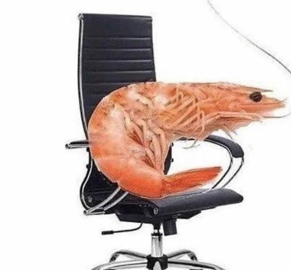 notbs21's tweet photo. Me sitting on my steel case chair blaming that it still gives me back pain https://t.co/bJYjKBXgwq