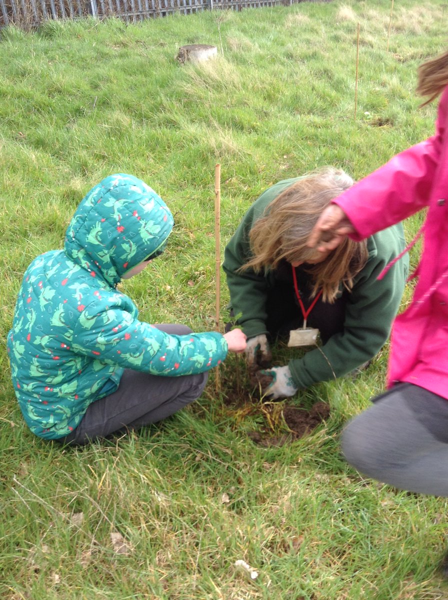 Edgebury Primary School tweet media