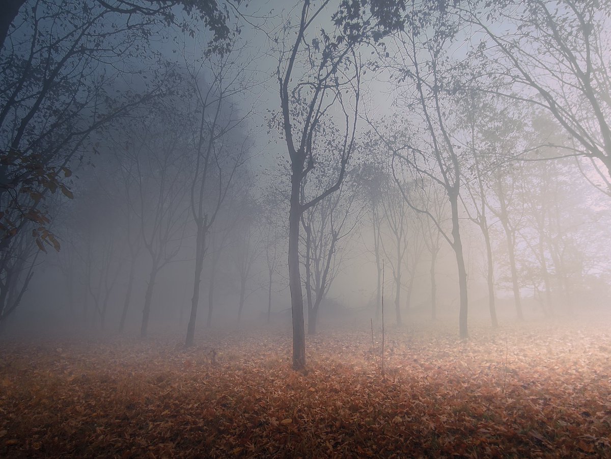 dhekhandelwal's tweet image. Art Gm!