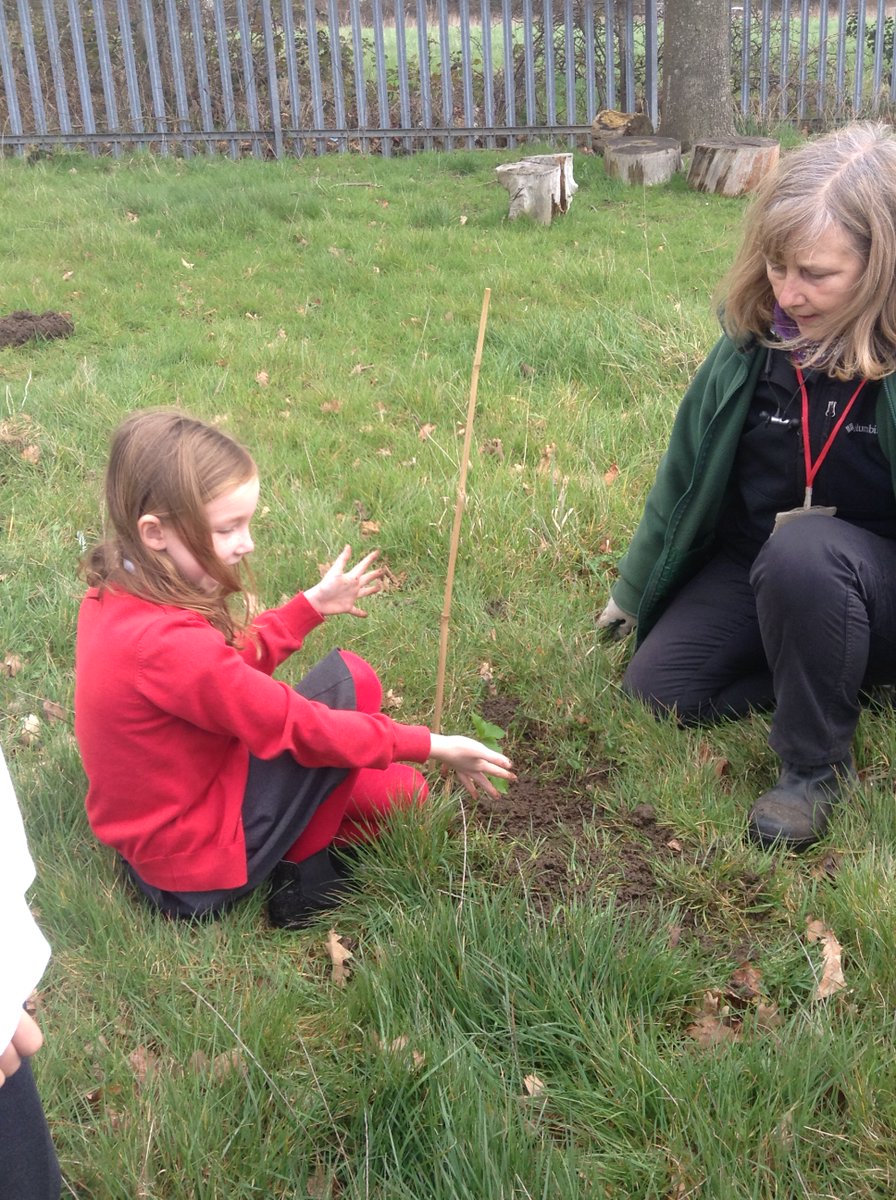 Edgebury Primary School tweet media