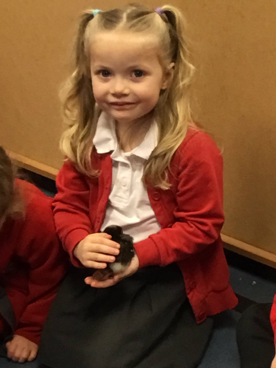 NurseryOPS's tweet photo. The children had a very special visit from some chicks today! #easter #understandingtheworld #learningandplaying https://t.co/3wIRmN0ssl