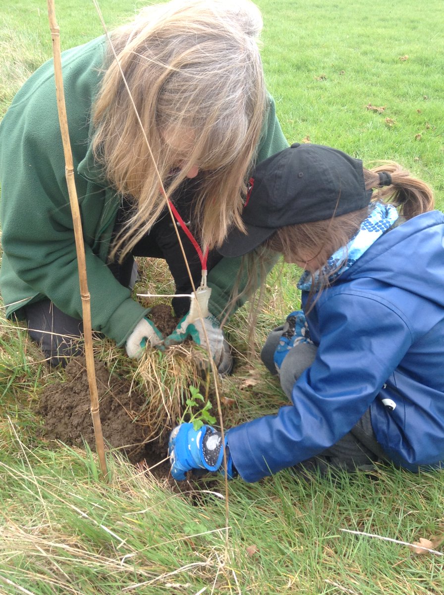 Edgebury Primary School tweet media