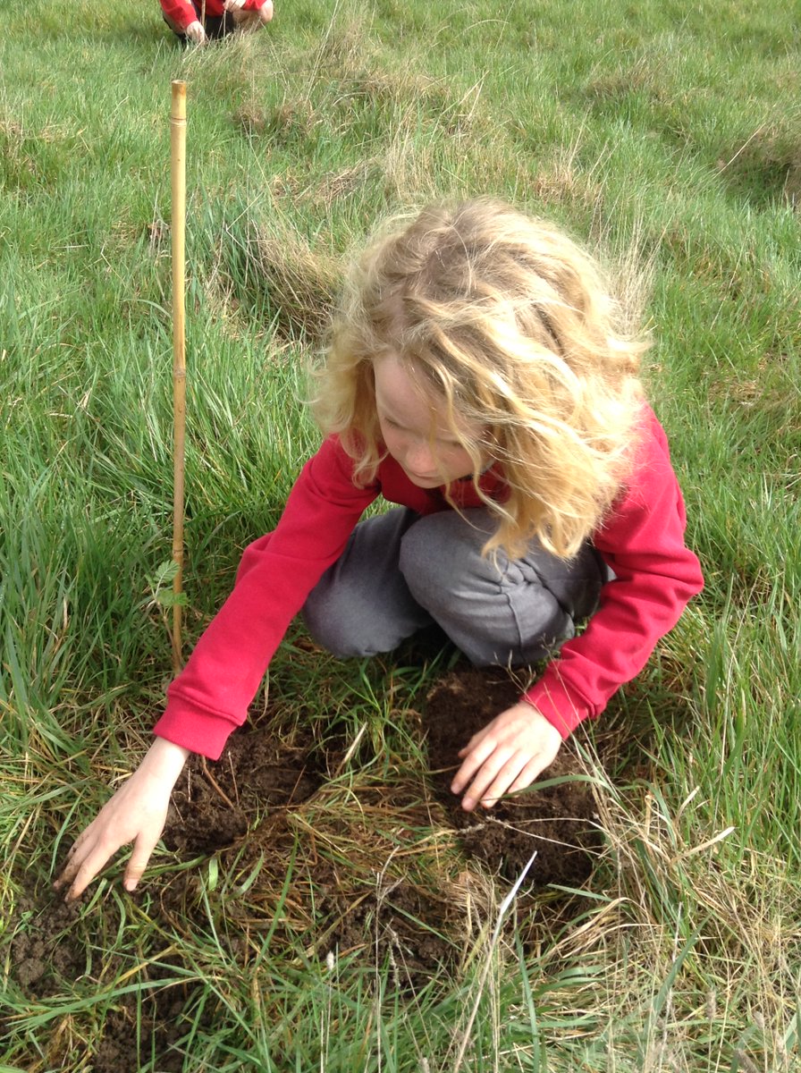 Edgebury Primary School tweet media