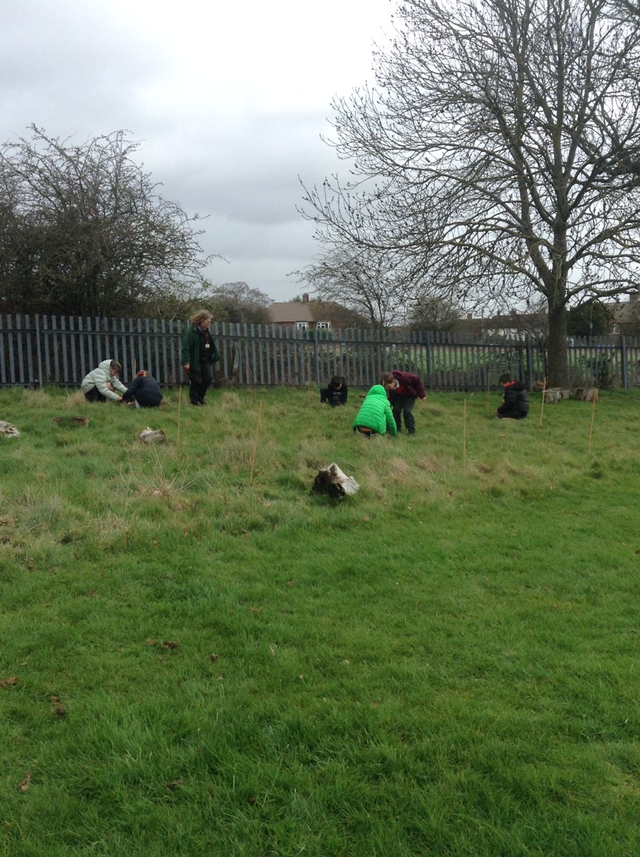 Edgebury Primary School tweet media