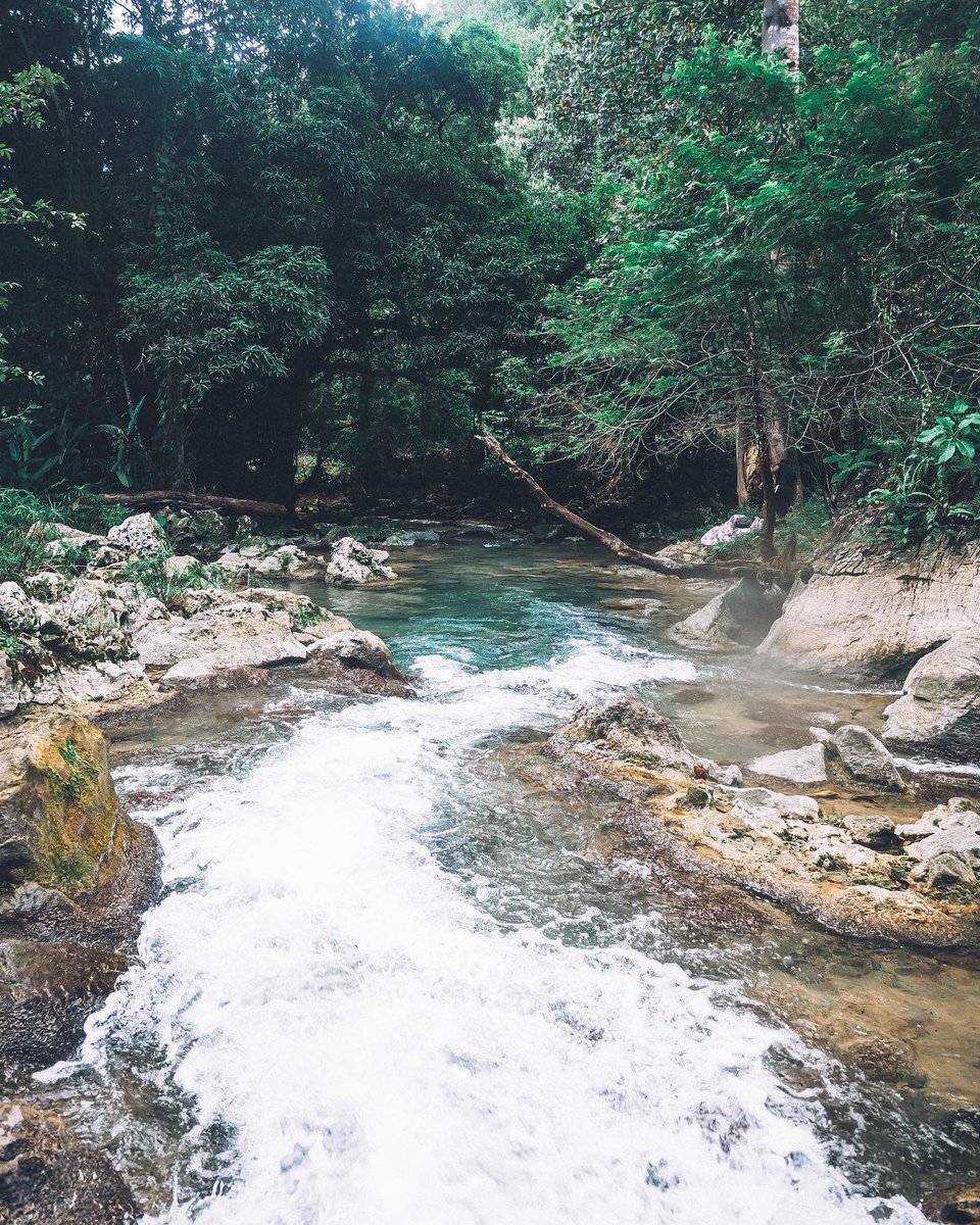 sheridonck's tweet photo. Good morning nature lovers 🇯🇲#Jamaica https://t.co/KNUK57tiup