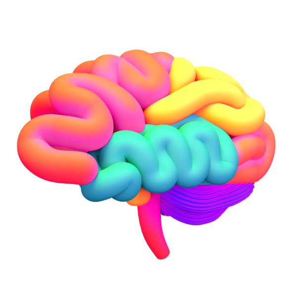 MsJessicaYC's tweet image. In Mr. Vescio's class at @Ferndalerocks we began our #MindUP program with a #CommunityBuilding lesson to help get to know one another! We played some fun games &amp;amp; learned what this program will be about; our brains &amp;amp; #Mindfulness! #SEL