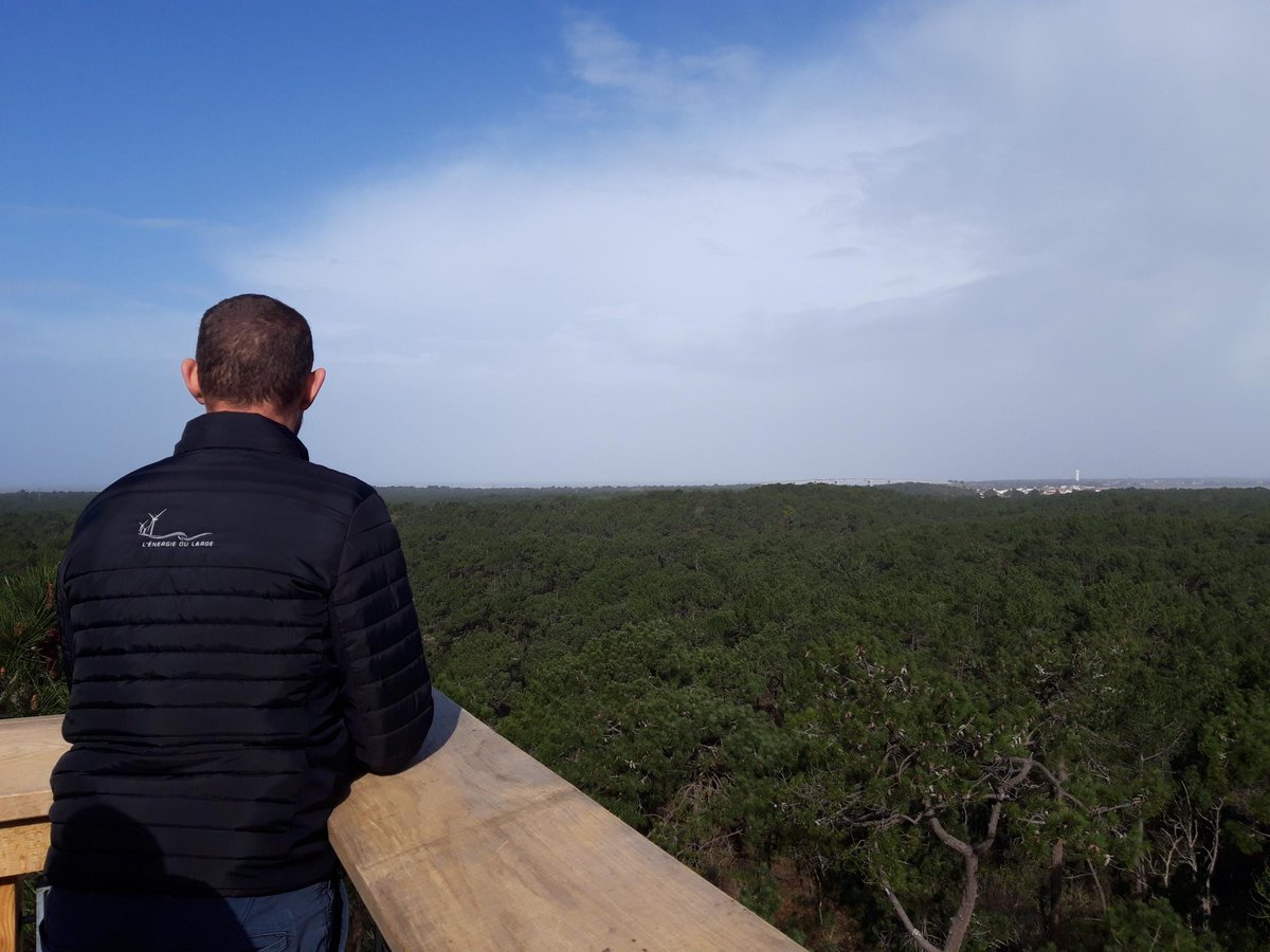 EoliennesMerYN tweet media