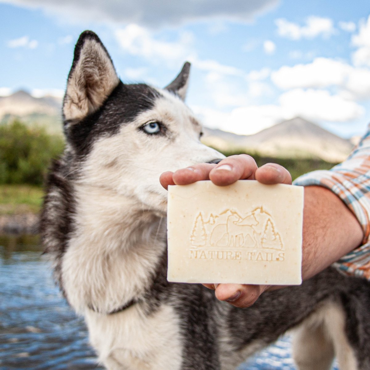 NatureTails's tweet photo. Are you ready for the April showers? Grab our Shampoo Bars ASAP because muddy paws are coming! https://t.co/vVLagycGjR