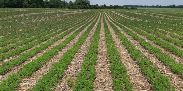 New sustainable soybean verification delivers on buyer demands ow.ly/mhOE50NwFWa #cdnag #ontag #westcdnag <a href="/Soy_Canada/">Soy Canada</a> <a href="/brianginnes/">Brian Innes</a>