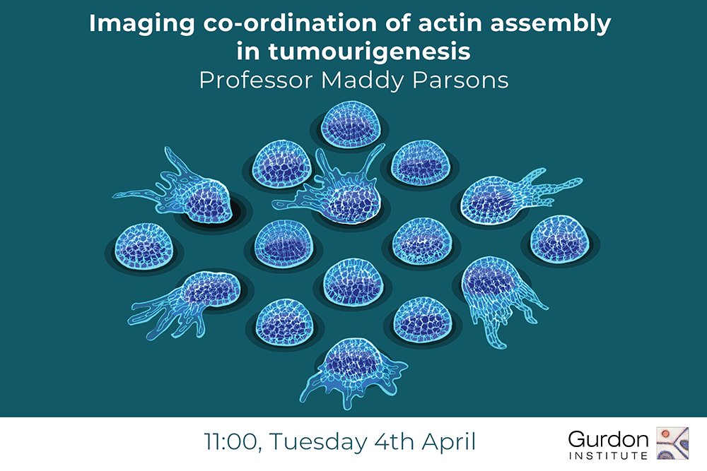 📢 Don’t miss our next Gurdon Institute Seminar with Prof. Maddy Parsons, King’s College London, next Tuesday at 11.00 am. All welcome 🙂