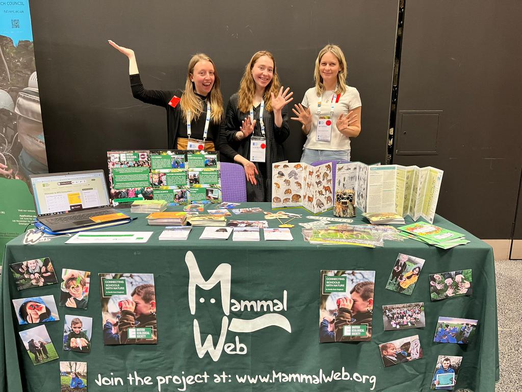 Alexa Roditi tweet media