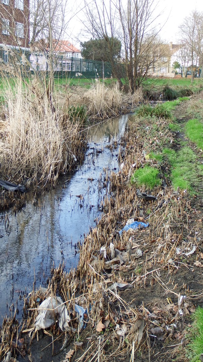 London's most frequent sewage spiller goes into the Mayes Brook in a public park.
90 discharges in 2022 (79 in 2021, 54 in 2020).
It's a small river, the nature reserve is caked with waste. There are no warning signs.
Formally complain to Thames Water here londonwaterkeeper.org.uk/formal-complai…