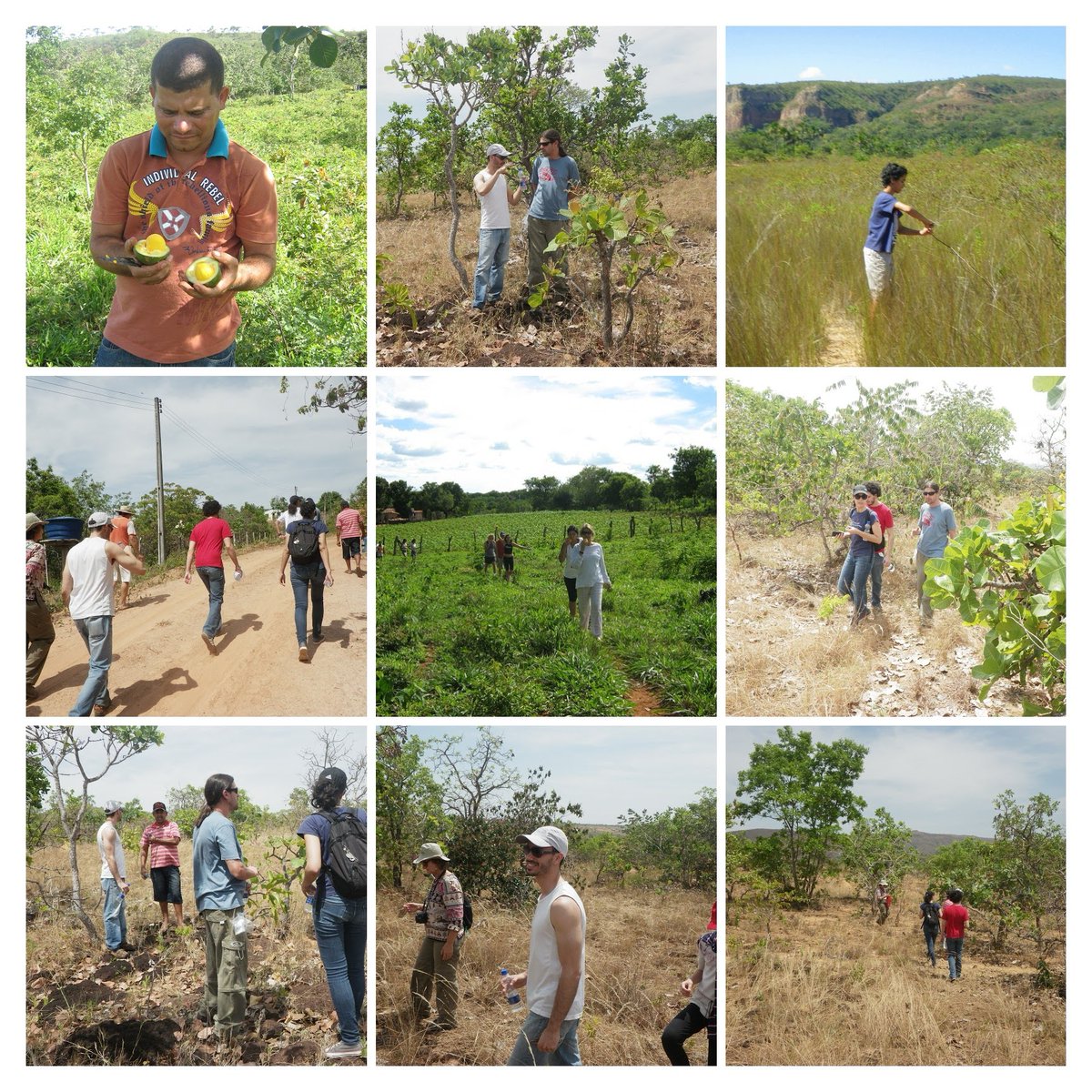 CerradoExtincao's tweet photo. Hoje é o #DiadaAtividadeFísica e não há nada melhor do que se exercitar na natureza. Que tal explorar o #Cerrado? Com suas belas paisagens e trilhas, é uma ótima opção para quem quer se movimentar e ainda cuidar do #meioambiente. Mas lembre-se: #preservar é fundamental! #Saúde https://t.co/9GlqCjHDY0