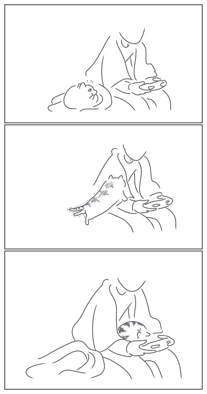 @kyuryuZ たぶん、その後は、こう。（申し訳ありません、トレースしております。） 