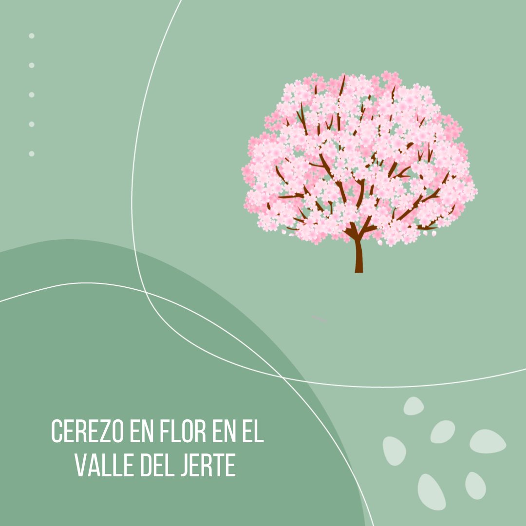 Entre finales de marzo y principios de abril se celebra en el Valle del Jerte la Fiesta del Cerezo en Flor 🌸🌸. Este evento reúne cultura, música, gastronomía y exposiciones en torno al árbol más emblemático de esta zona.
#turismoespaña #visitspain #cerezosenflor #turismo