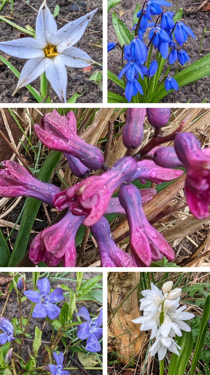 PΞТΞЯ tweet media