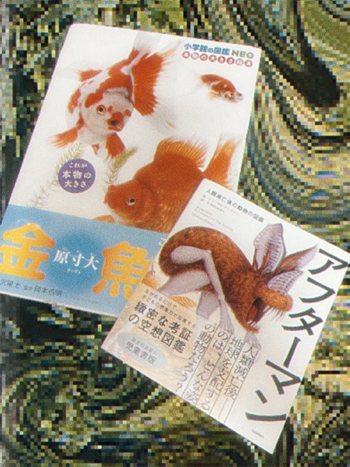 すぐ発送可能！ 「マンアフターマン」ドゥーガル・ディクソン著／帯