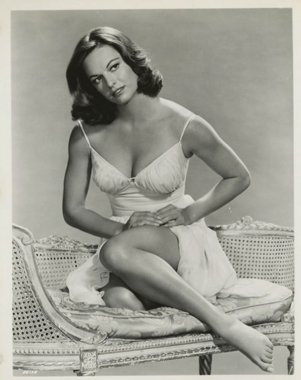 WAGongaware's tweet image. ⭐️Joyce Taylor⭐️

TV actress from '57-'67. Wow. Most appearances in "Men Into Space" (59-60) and "Ozzie and Harriet" (58-59).

#OldHollywood #smallscreen