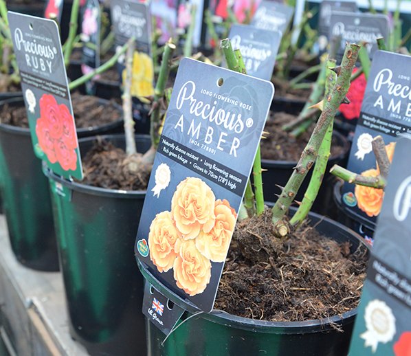 SWgrowersshow's tweet photo. As March comes to an end, we are now just over 6 months away from the 2023 SWGS. How time passes so fast! We are now up to 50% Capacity! Be sure to book soon to secure your space... https://t.co/UMLCJVxTrl