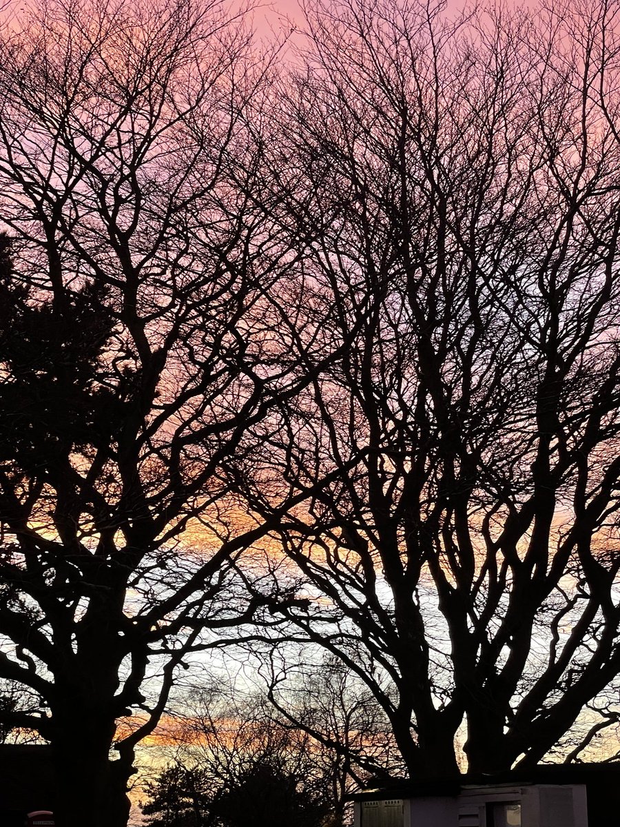 Here’s hoping you have a wonderful Passover - Paul