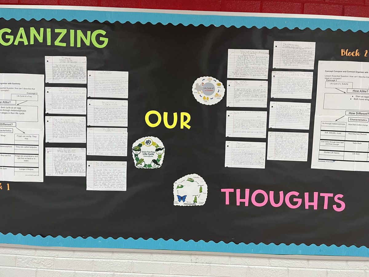 MarlettDon's tweet image. I got to see this on Monday @claremont_elem. This an excellent example of 2nd-grade writing using a more complex GO.  Students are Comparing and Contrasting different life cycles.  No question about what they understand.  #writing #edchat #nobarriers @mrjamesfrye