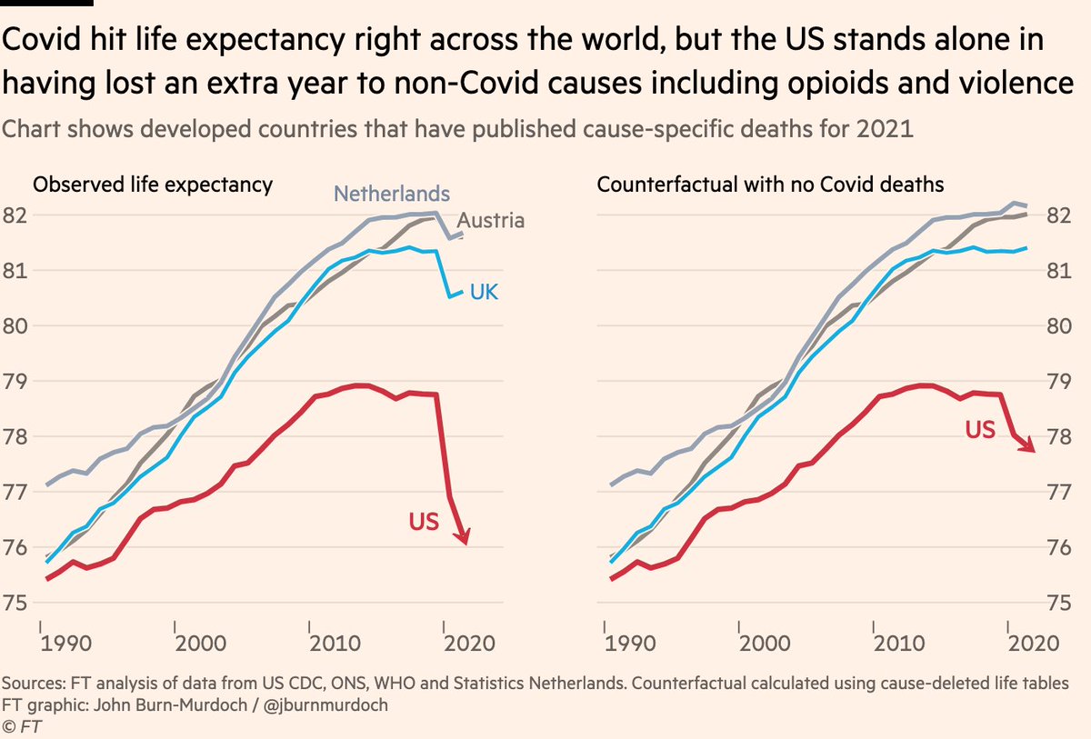 The result is that the US is the only developed country where even if you strip out all Covid deaths, life expectancy still dropped by a year since 2019