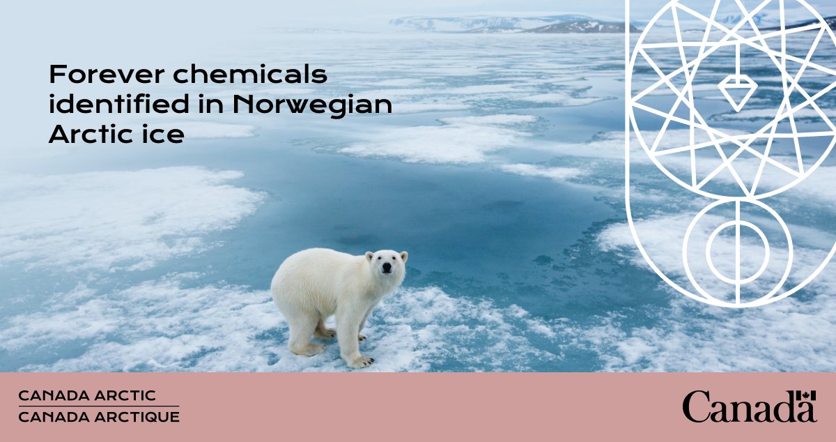 New research from <a href="/WillHartzSnow/">Dr William Hartz</a> <a href="/OxfordEnvRes/">OxfordEnvRes</a> detects 26 types of chemicals (PFAS) in Norwegian Arctic ice. When the ice melts, they can move from glaciers to fjords and tundra, affecting the entire Arctic food web. <a href="/guardian/">The Guardian</a> has the details: theguardian.com/environment/20…