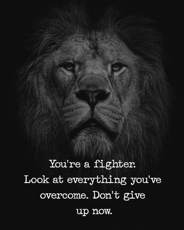mitchHandley's tweet photo. #fitness https://t.co/9eDU9GEQwn
