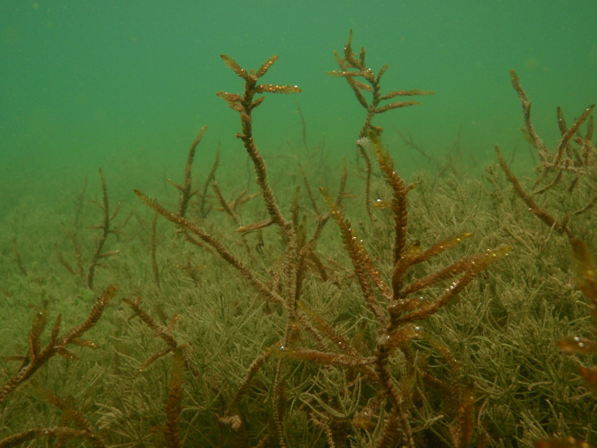 EPA Catchments tweet media