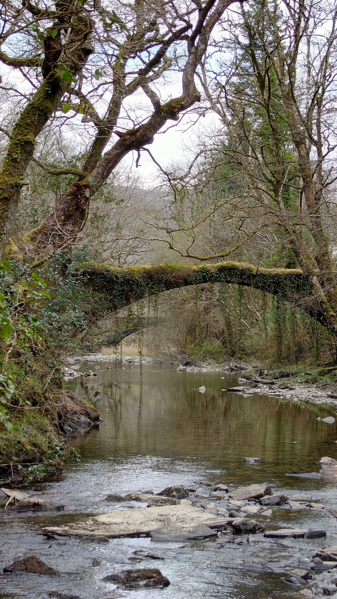 SAOCousins's tweet photo. Final day for #MarchArch 2023 so here are some of my favourites
Ceunant Llennyrch #NNR in #Wales , #SeaStack #rauk on #Gotland, #AncientGortys in #Greece and #Elvet bridge #Durham
#Arch spanning millions of years to fairly recent
#FridayFeeling #March https://t.co/gAQY7fXIgI