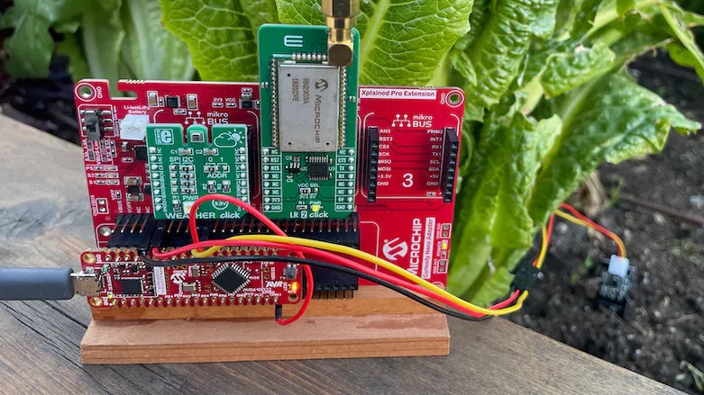 Deploy this low-power, LoRaWAN-enabled sensor node to monitor growing conditions and transmit data to a dashboard over @thethingsntwrk: bit.ly/3G7xKXj